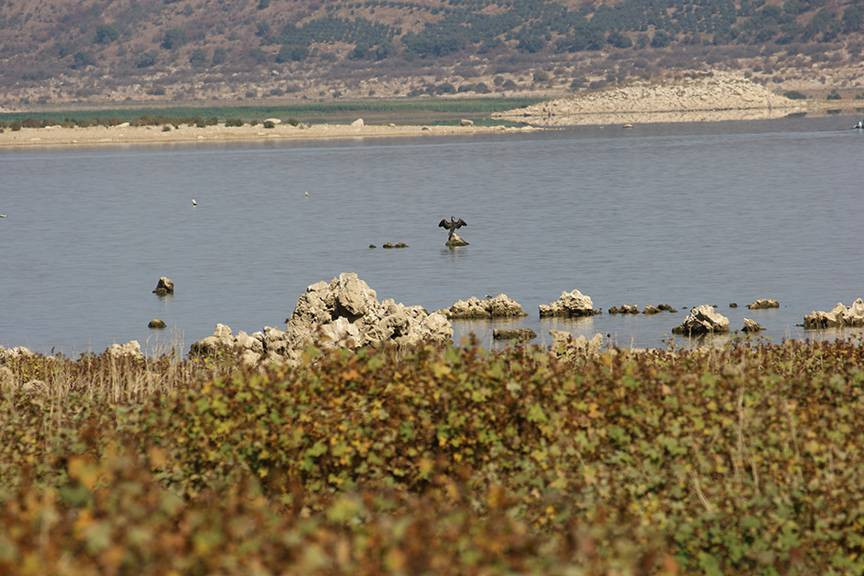 16 bin yıl önce püskürdü Demirköprü Barajı’nın suyu çekilince göründü. Kara olan rengi beyaza döndü - Resim: 24